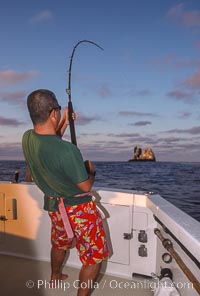 Fishing for giant yellowfin tuna at Roca Partida in the Revillagigedos, Baja California, Mexico. This is a historical photo; the Revillagigedos Island group is now protected and fishing is not permitted at the islands, Socorro Island (Islas Revillagigedos)