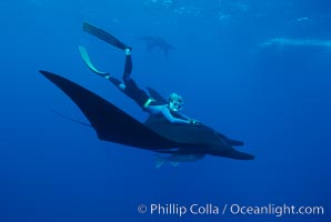 Manta ray and freediver, Manta birostris, San Benedicto Island (Islas Revillagigedos)