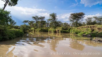 River, trees and sky, Maasai Mara, Kenya