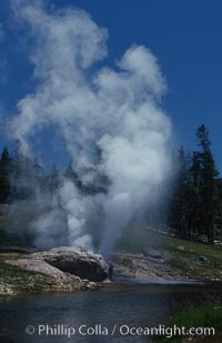 Riverside Geyser at peak eruption, arcing over the Firehole River, Upper Geyser Basin, Yellowstone National Park, Wyoming