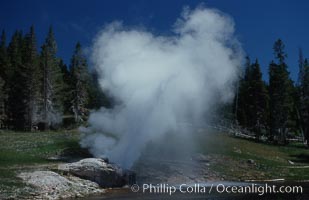 Riverside Geyser at peak eruption, arcing over the Firehole River, Upper Geyser Basin, Yellowstone National Park, Wyoming