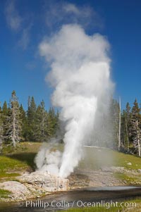 Riverside Geyser at peak eruption, arcing over the Firehole River.  Riverside is a very predictable geyser.  Its eruptions last 30 minutes, reach heights of 75 feet and are usually spaced about 6 hours apart.  Upper Geyser Basin, Yellowstone National Park, Wyoming