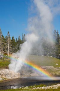 A rainbow appears in the spray of Riverside Geyser as it erupts over the Firehole River.  Riverside is a very predictable geyser.  Its eruptions last 30 minutes, reach heights of 75 feet and are usually spaced about 6 hours apart.  Upper Geyser Basin.