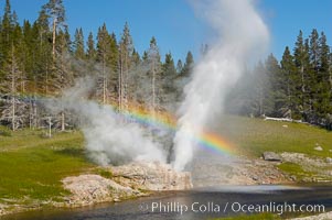 A rainbow appears in the spray of Riverside Geyser as it erupts over the Firehole River.  Riverside is a very predictable geyser.  Its eruptions last 30 minutes, reach heights of 75 feet and are usually spaced about 6 hours apart.  Upper Geyser Basin, Yellowstone National Park, Wyoming