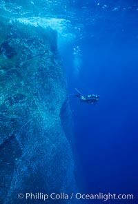 Roca Partida, Revillagigedos, Baja California, Mexico