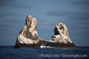 Roca Partida, a small remote seamount in the Revillagigedos.