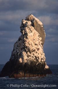 Roca Partida, a small remote seamount in the Revillagigedos