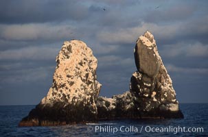 Roca Partida, a small remote seamount in the Revillagigedos