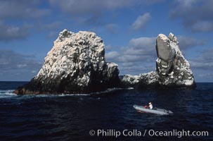 Roca Partida, a small remote seamount in the Revillagigedos