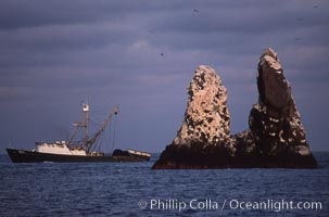 Illegal fishing at Roca Partida, Revillagigedos