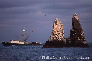 Illegal fishing at Roca Partida, Revillagigedos.