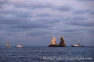 Illegal fishing at Roca Partida, Revillagigedos
