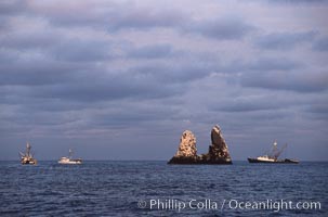 Illegal fishing at Roca Partida, Revillagigedos