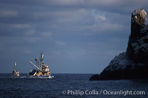 Illegal fishing at Roca Partida, Revillagigedos