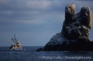 Illegal fishing at Roca Partida, Revillagigedos