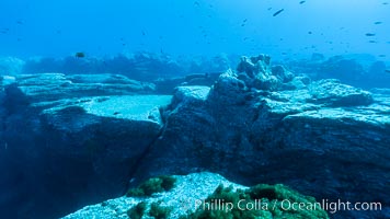 Granite structures form the underwater reef at Abalone Point, Guadalupe Island (Isla Guadalupe)