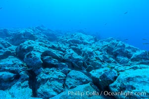 Granite structures form the underwater reef at Abalone Point, Guadalupe Island (Isla Guadalupe)