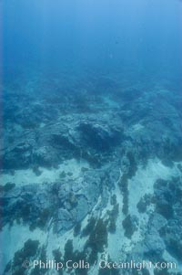 Sand channels and granite structures form the underwater reef at Abalone Point, Guadalupe Island (Isla Guadalupe)