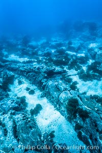 Sand channels and granite structures form the underwater reef at Abalone Point, Guadalupe Island (Isla Guadalupe)