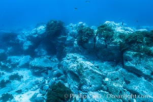 Sand channels and granite structures form the underwater reef at Abalone Point, Guadalupe Island (Isla Guadalupe)