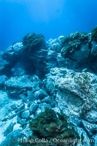 Sand channels and granite structures form the underwater reef at Abalone Point, Guadalupe Island (Isla Guadalupe)