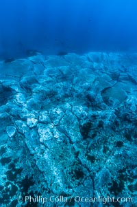 Granite structures form the underwater reef at Abalone Point, Guadalupe Island (Isla Guadalupe)