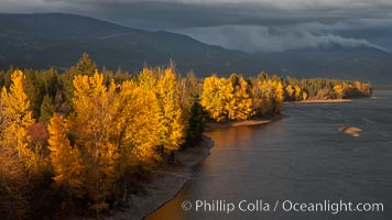 Fall colors along Little Shuswap Lake, near the Adams River, British Columbia, Canada