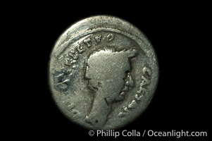 Roman dictator Julius Ceasar (48-44 B.C.), depicted on ancient Roman coin (silver, denom/type: Denarius) (Denarius P. Sepullis Macer; S 1072.)
