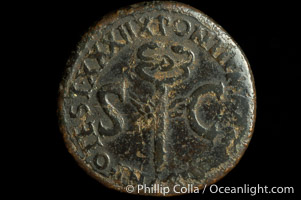 Roman emperor Tiberius (14-37 A.D.), depicted on ancient Roman coin (bronze, denom/type: As) (As, F; Winged caduceus.)