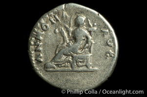 Roman emperor Titus (79-81 A.D.), depicted on ancient Roman coin (silver, denom/type: Denarius) (Denarius F.)
