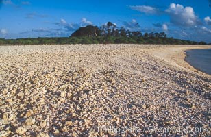 Rose Island at Rose Atoll, American Samoa, Rose Atoll National Wildlife Refuge