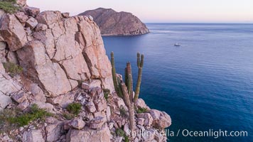 Rugged coastline on Isla Espiritu Santo, aerial view, Cardon Cactus, Sea of Cortez, Pachycereus pringlei