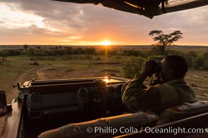 Safari guide spotting wildlife at sunrise, Olare Orok Conservancy, Kenya