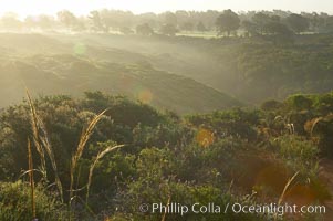 Dawn breaks across the sagebrush and canyons of Torrey Pines State Reserve, with the championship Torrey Pines North golf course in the distance.  San Diego.