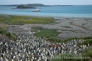 King penguin colony and the Bay of Isles on the northern coast of South Georgia Island.  Over 100,000 nesting pairs of king penguins reside here.  Dark patches in the colony are groups of juveniles with fluffy brown plumage.  The icebreaker M/V Polar Star lies at anchor, Aptenodytes patagonicus, Salisbury Plain