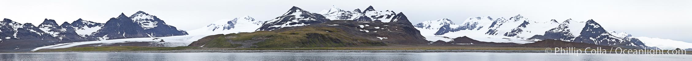 Salisbury Plain, South Georgia Island, Southern Ocean.