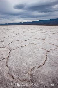 Salt polygons.  After winter flooding, the salt on the Badwater Basin playa dries into geometric polygonal shapes.