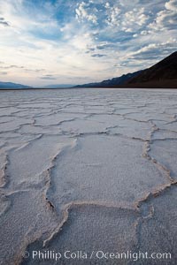 Salt polygons.  After winter flooding, the salt on the Badwater Basin playa dries into geometric polygonal shapes, Death Valley National Park, California