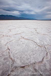 Salt polygons.  After winter flooding, the salt on the Badwater Basin playa dries into geometric polygonal shapes, Death Valley National Park, California