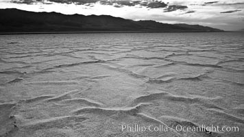 Salt polygons.  After winter flooding, the salt on the Badwater Basin playa dries into geometric polygonal shapes, Death Valley National Park, California