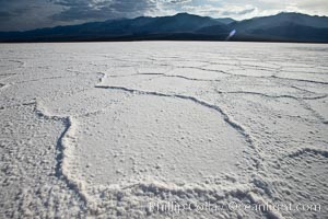 Salt polygons.  After winter flooding, the salt on the Badwater Basin playa dries into geometric polygonal shapes, Death Valley National Park, California