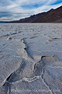 Salt polygons. After winter flooding, the salt on the Badwater Basin playa dries into geometric polygonal shapes.