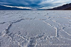 Salt polygons. After winter flooding, the salt on the Badwater Basin playa dries into geometric polygonal shapes, Death Valley National Park, California