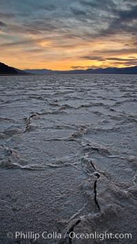 Salt polygons. After winter flooding, the salt on the Badwater Basin playa dries into geometric polygonal shapes, Death Valley National Park, California