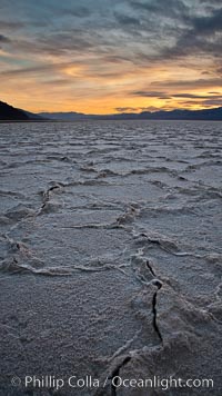 Salt polygons. After winter flooding, the salt on the Badwater Basin playa dries into geometric polygonal shapes, Death Valley National Park, California