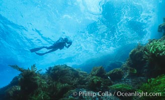 San Benito Islands, Baja California, Mexico, San Benito Islands (Islas San Benito)