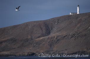 Lighthouse, San Benito Islands (Islas San Benito)