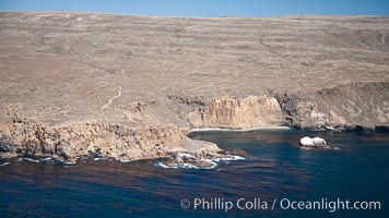 San Clemente Island, rugged barren coastline and island terrain surrounded by lush underwater kelp forests and marine life