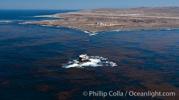 San Clemente Island and Castle Rock, kelp beds visible at the ocean surface