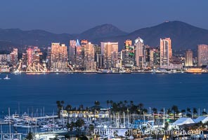 San Diego City Skyline at Night